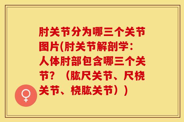 肘关节分为哪三个关节图片(肘关节解剖学：人体肘部包含哪三个关节？（肱尺关节、尺桡关节、桡肱关节）)