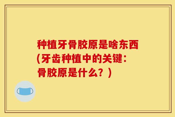 种植牙骨胶原是啥东西(牙齿种植中的关键：骨胶原是什么？)