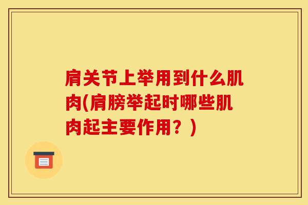 肩关节上举用到什么肌肉(肩膀举起时哪些肌肉起主要作用？)