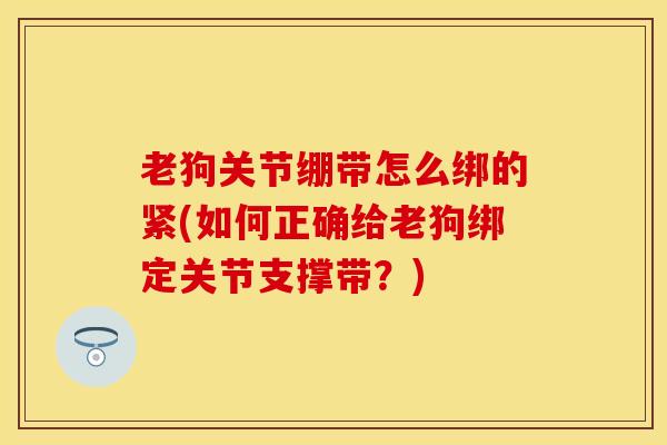老狗关节绷带怎么绑的紧(如何正确给老狗绑定关节支撑带？)