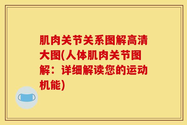 肌肉关节关系图解高清大图(人体肌肉关节图解：详细解读您的运动机能)
