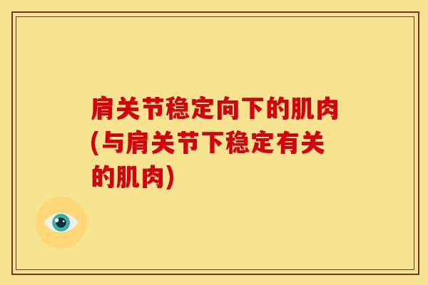 肩关节稳定向下的肌肉(与肩关节下稳定有关的肌肉)