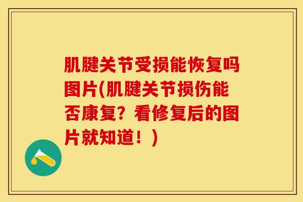 肌腱关节受损能恢复吗图片(肌腱关节损伤能否康复？看修复后的图片就知道！)