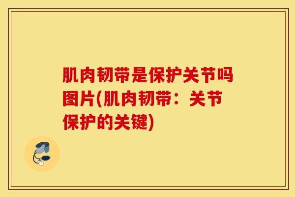 肌肉韧带是保护关节吗图片(肌肉韧带：关节保护的关键)