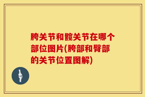 胯关节和髋关节在哪个部位图片(胯部和臀部的关节位置图解)