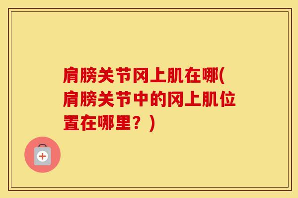 肩膀关节冈上肌在哪(肩膀关节中的冈上肌位置在哪里？)