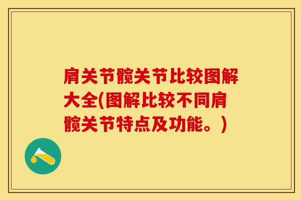 肩关节髋关节比较图解大全(图解比较不同肩髋关节特点及功能。)