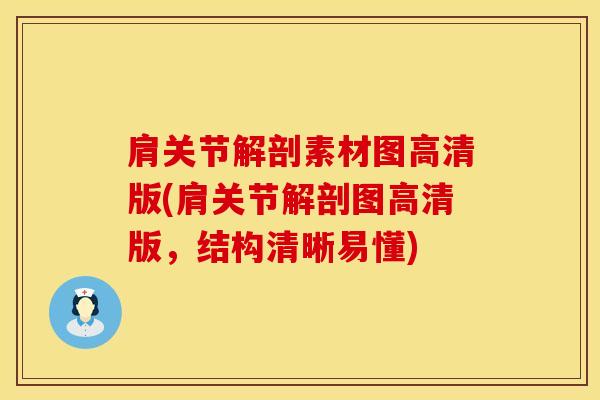 肩关节解剖素材图高清版(肩关节解剖图高清版，结构清晰易懂)