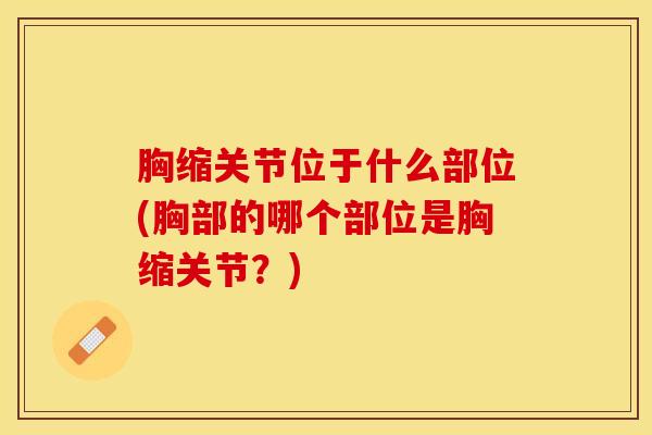 胸缩关节位于什么部位(胸部的哪个部位是胸缩关节？)