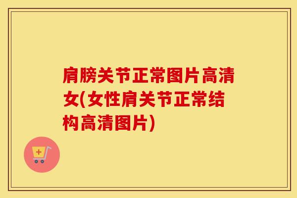 肩膀关节正常图片高清女(女性肩关节正常结构高清图片)