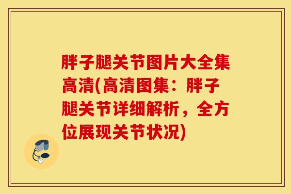 胖子腿关节图片大全集高清(高清图集：胖子腿关节详细解析，全方位展现关节状况)