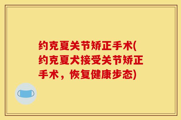 约克夏关节矫正手术(约克夏犬接受关节矫正手术，恢复健康步态)