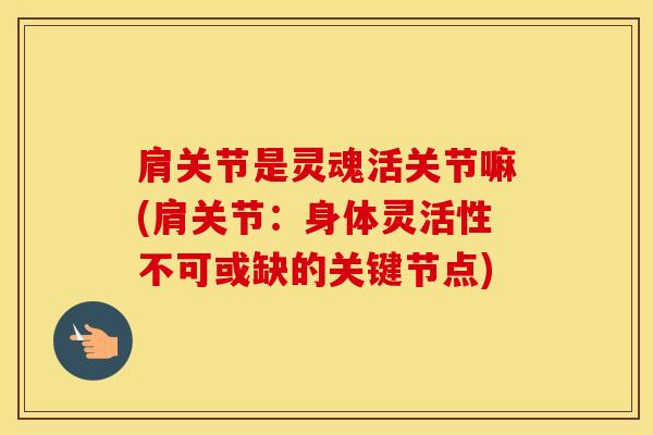 肩关节是灵魂活关节嘛(肩关节：身体灵活性不可或缺的关键节点)