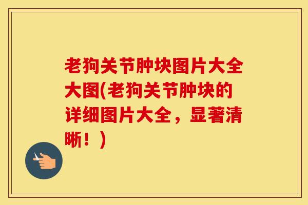 老狗关节肿块图片大全大图(老狗关节肿块的详细图片大全，显著清晰！)