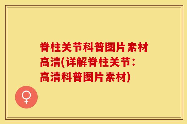 脊柱关节科普图片素材高清(详解脊柱关节：高清科普图片素材)