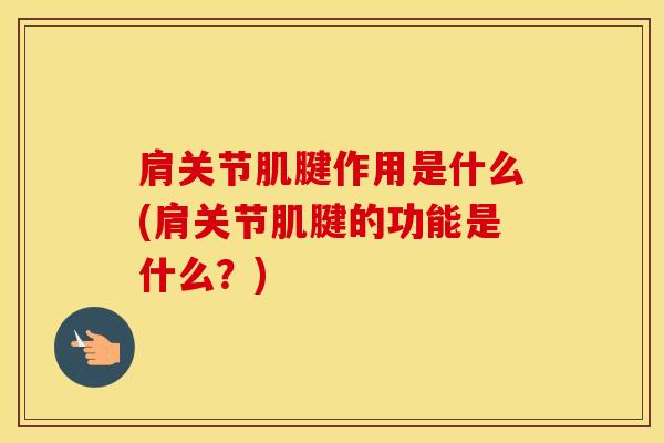 肩关节肌腱作用是什么(肩关节肌腱的功能是什么？)