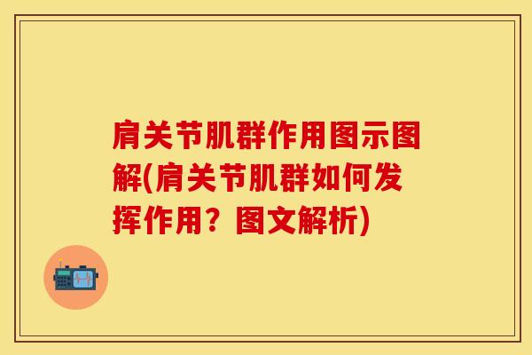 肩关节肌群作用图示图解(肩关节肌群如何发挥作用？图文解析)
