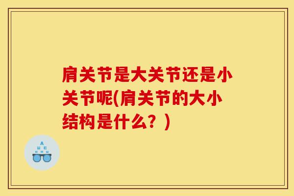 肩关节是大关节还是小关节呢(肩关节的大小结构是什么？)
