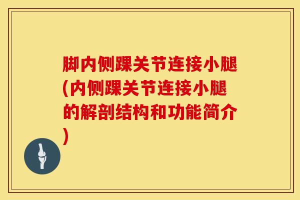 脚内侧踝关节连接小腿(内侧踝关节连接小腿的解剖结构和功能简介)