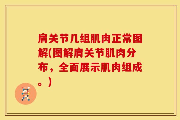 肩关节几组肌肉正常图解(图解肩关节肌肉分布，全面展示肌肉组成。)