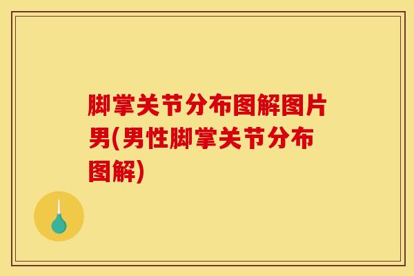 脚掌关节分布图解图片男(男性脚掌关节分布图解)