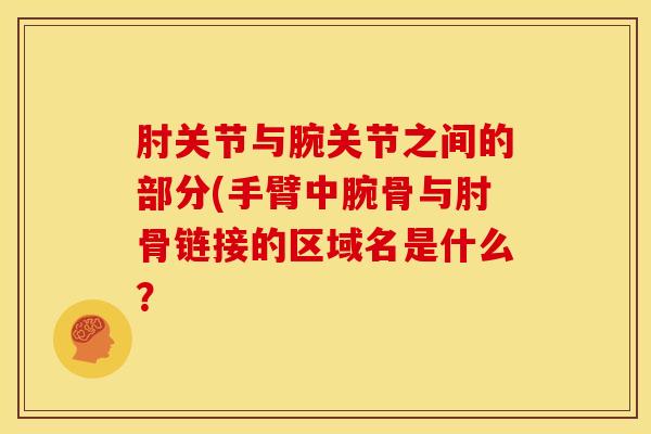 肘关节与腕关节之间的部分(手臂中腕骨与肘骨链接的区域名是什么？