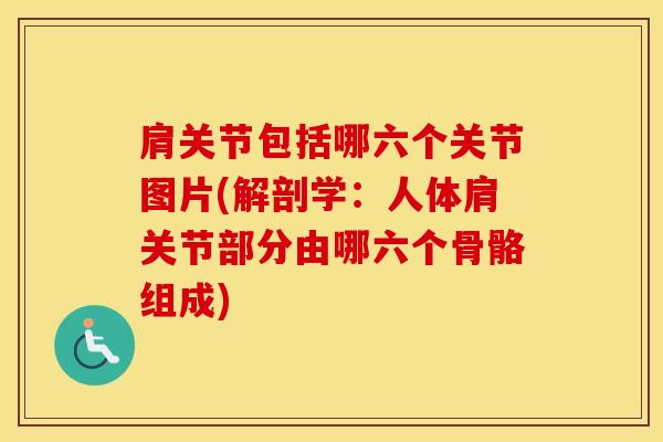 肩关节包括哪六个关节图片(解剖学：人体肩关节部分由哪六个骨骼组成)