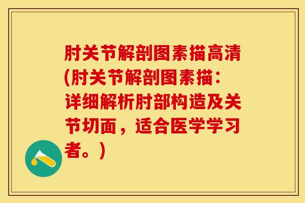 肘关节解剖图素描高清(肘关节解剖图素描：详细解析肘部构造及关节切面，适合医学学习者。)