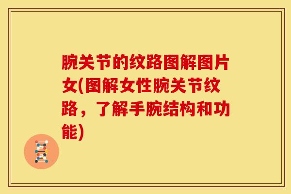 腕关节的纹路图解图片女(图解女性腕关节纹路，了解手腕结构和功能)