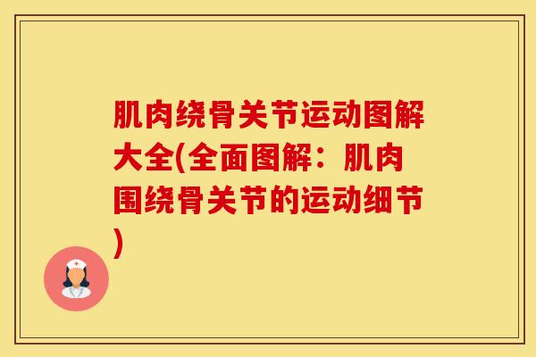 肌肉绕骨关节运动图解大全(全面图解：肌肉围绕骨关节的运动细节)