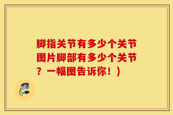脚指关节有多少个关节图片脚部有多少个关节？一幅图告诉你！)