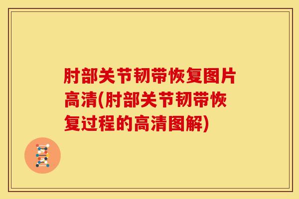 肘部关节韧带恢复图片高清(肘部关节韧带恢复过程的高清图解)