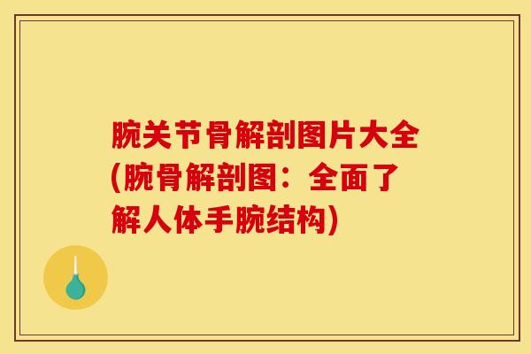 腕关节骨解剖图片大全(腕骨解剖图：全面了解人体手腕结构)