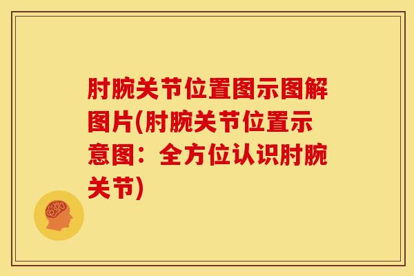 肘腕关节位置图示图解图片(肘腕关节位置示意图：全方位认识肘腕关节)