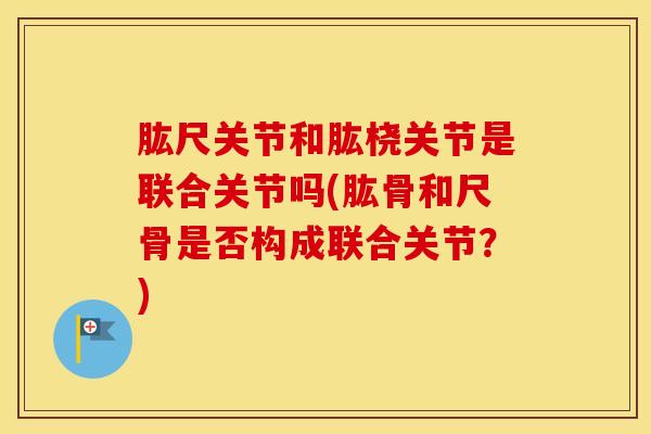 肱尺关节和肱桡关节是联合关节吗(肱骨和尺骨是否构成联合关节？)