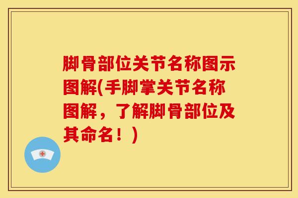 脚骨部位关节名称图示图解(手脚掌关节名称图解，了解脚骨部位及其命名！)