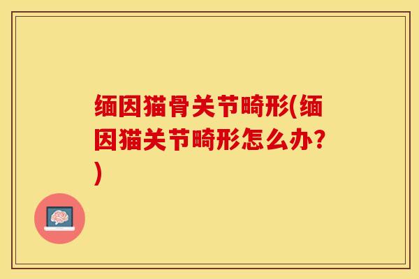 缅因猫骨关节畸形(缅因猫关节畸形怎么办？)