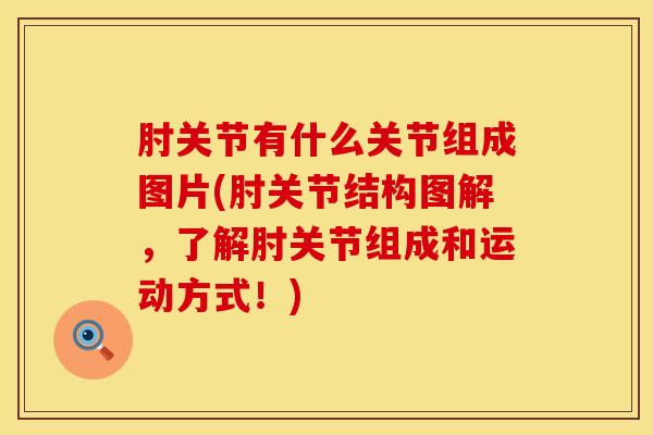 肘关节有什么关节组成图片(肘关节结构图解，了解肘关节组成和运动方式！)