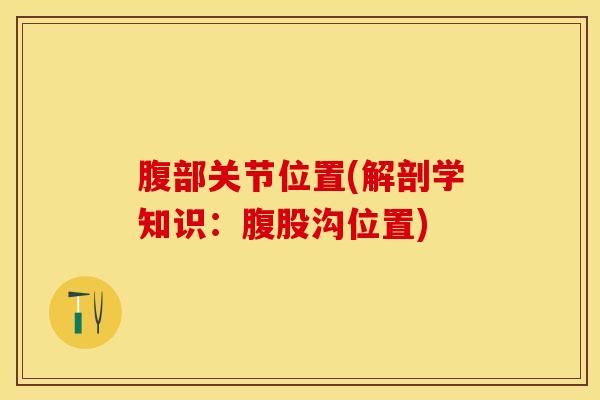 腹部关节位置(解剖学知识：腹股沟位置)