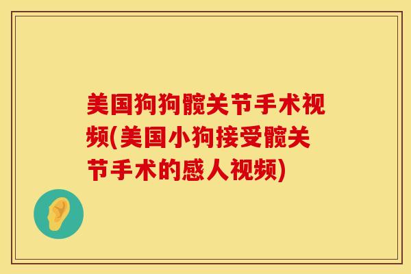 美国狗狗髋关节手术视频(美国小狗接受髋关节手术的感人视频)