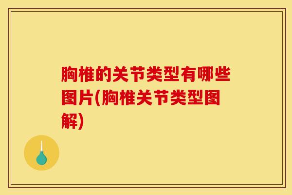 胸椎的关节类型有哪些图片(胸椎关节类型图解)