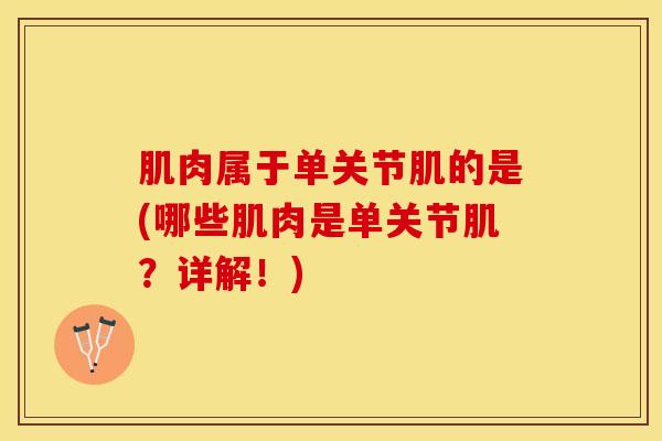 肌肉属于单关节肌的是(哪些肌肉是单关节肌？详解！)