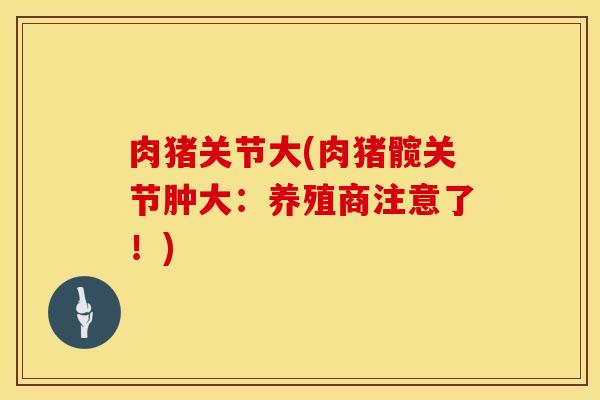 肉猪关节大(肉猪髋关节肿大:养殖商注意了!) 肉猪关节大(肉猪髋关节肿大:养殖商注意了!)