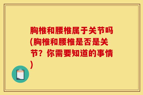 胸椎和腰椎属于关节吗(胸椎和腰椎是否是关节？你需要知道的事情)