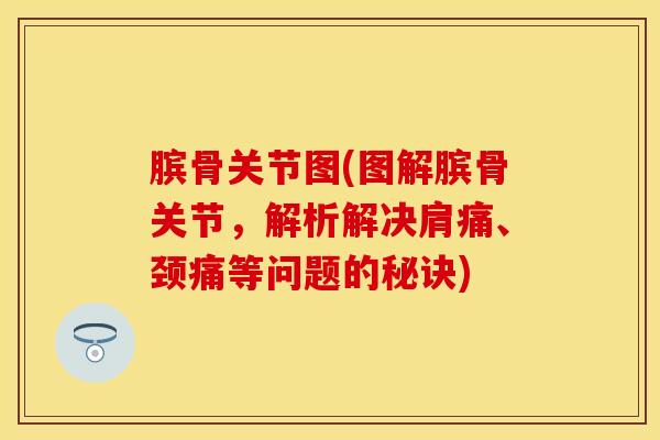 膑骨关节图(图解膑骨关节，解析解决肩痛、颈痛等问题的秘诀)