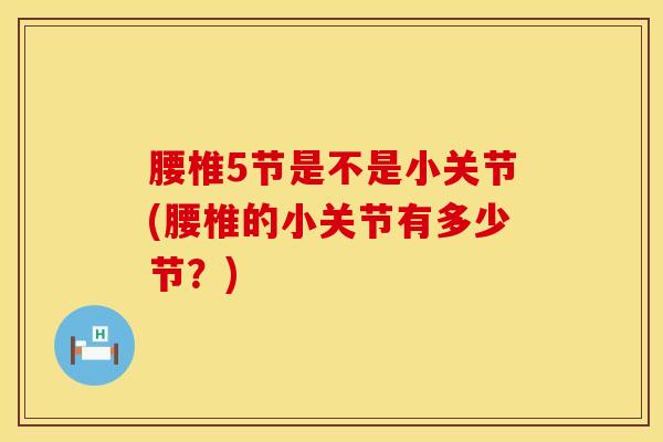 腰椎5节是不是小关节(腰椎的小关节有多少节？)