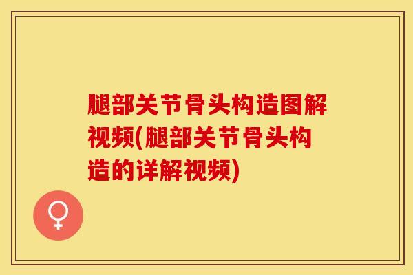 腿部关节骨头构造图解视频(腿部关节骨头构造的详解视频)
