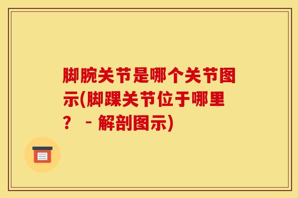 脚腕关节是哪个关节图示(脚踝关节位于哪里? - 解剖图示) 脚腕关节是哪个关节图示(脚踝关节位于哪里? - 解剖图示)