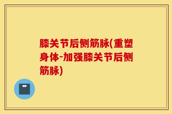 膝关节后侧筋脉(重塑身体-加强膝关节后侧筋脉)