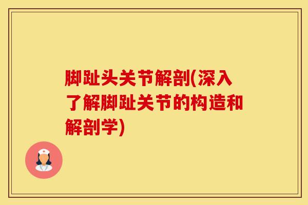 脚趾头关节解剖(深入了解脚趾关节的构造和解剖学)